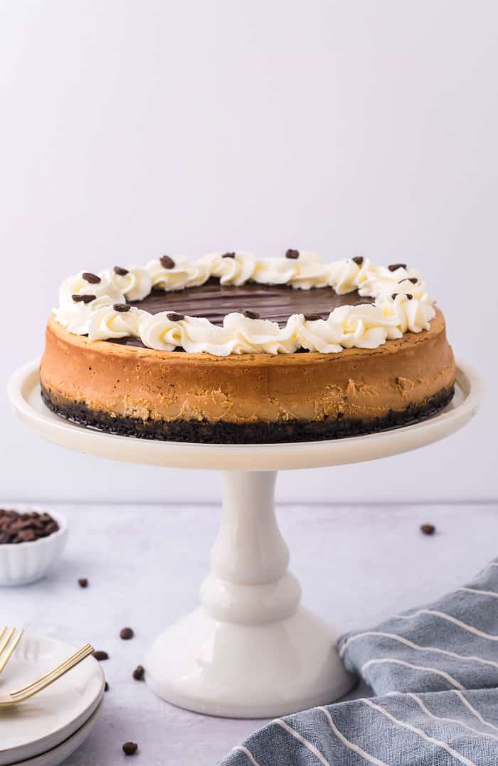 Mocha cheesecake on a cake stand.